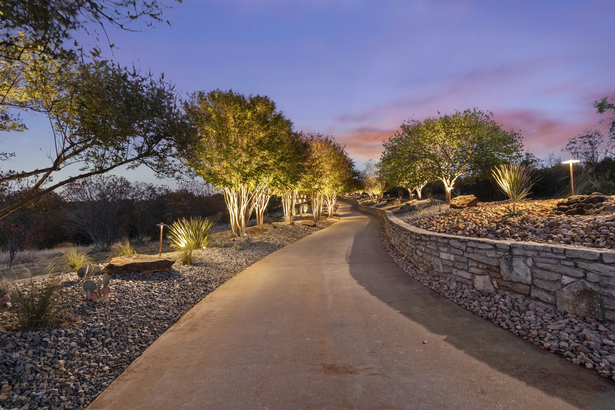 A curved driveway at night with uplit multi-trunk crepe myrtles, a stacked stone wall and path lights