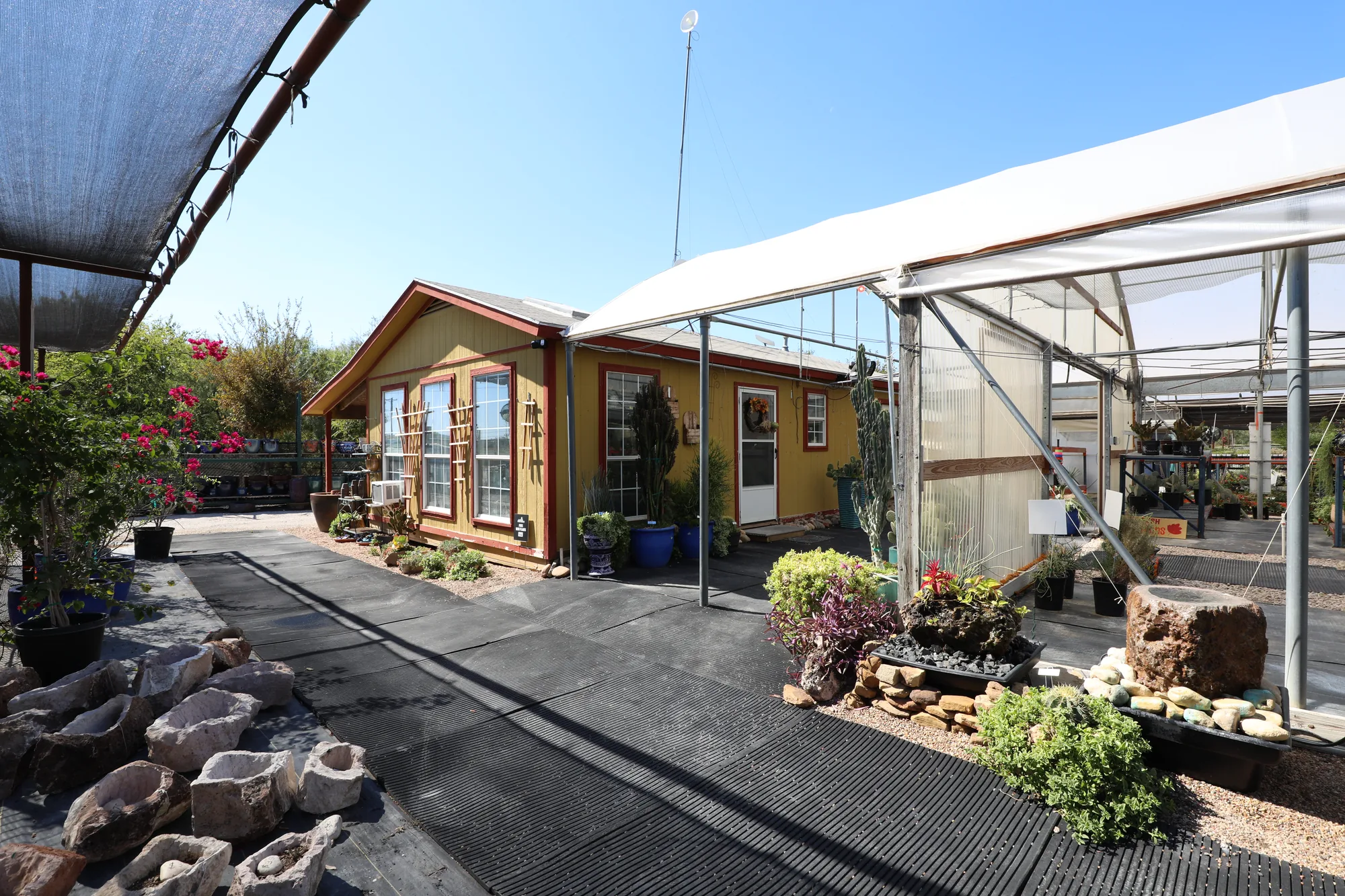 The nursery office and retail building beside the glasshouse, bougainvillea and container stock at the door