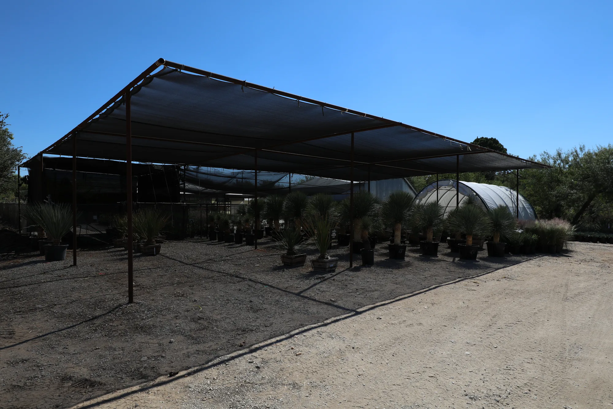 Container rows under the shade house, a hoop house beyond
