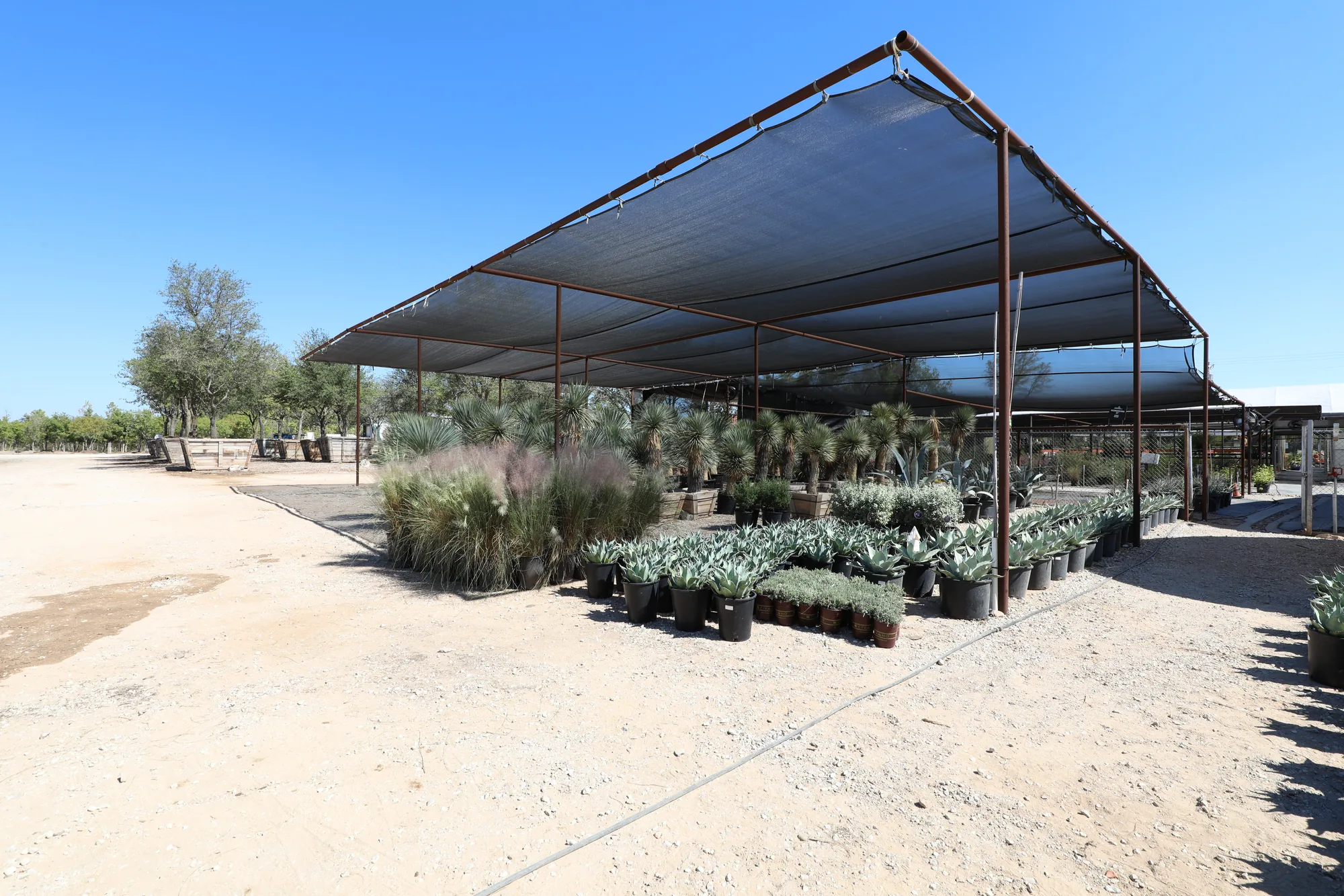 The long shade structure over rows of native and adapted container stock
