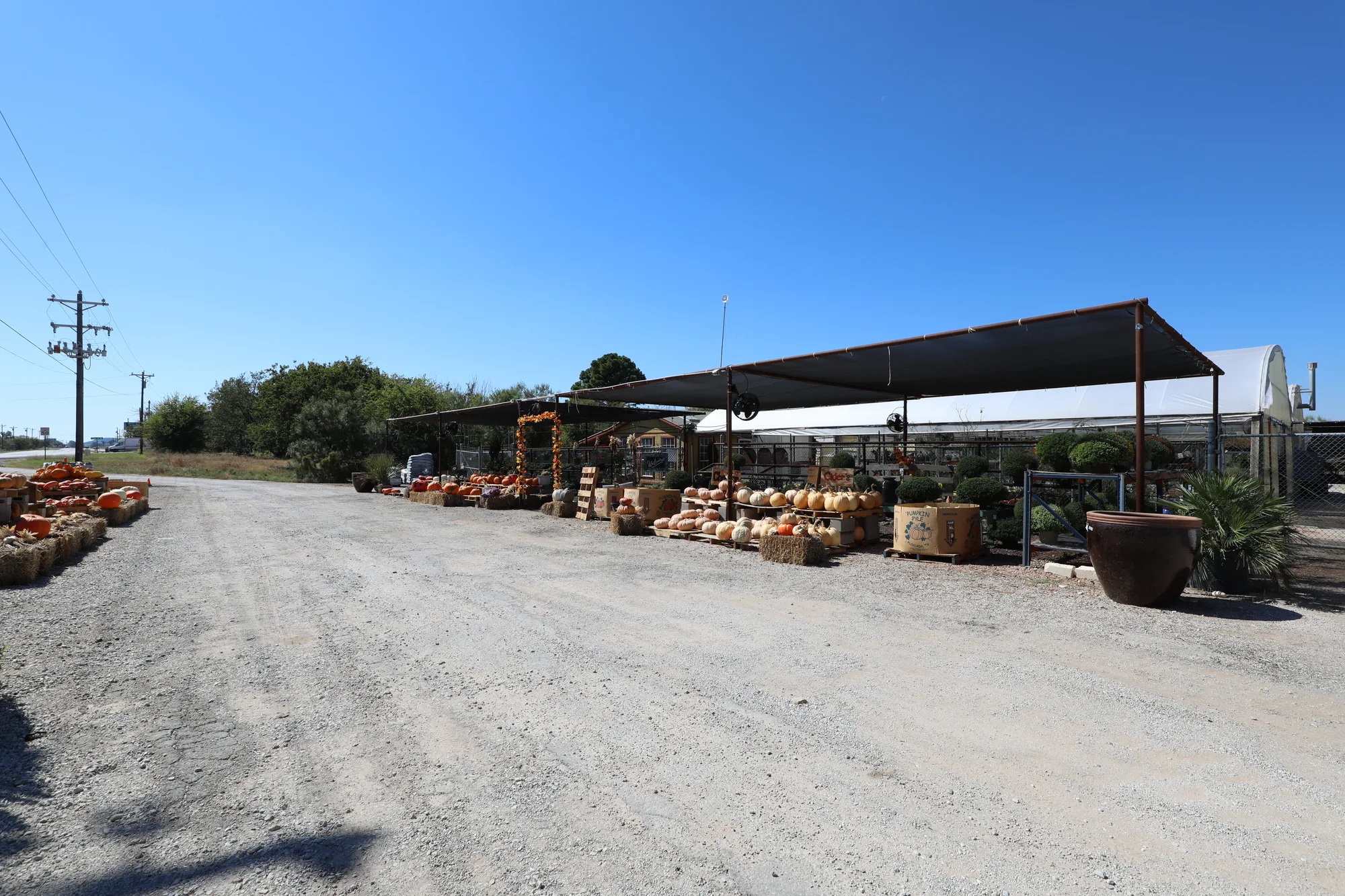 Container stock laid out along the yard drive under an open shade structure