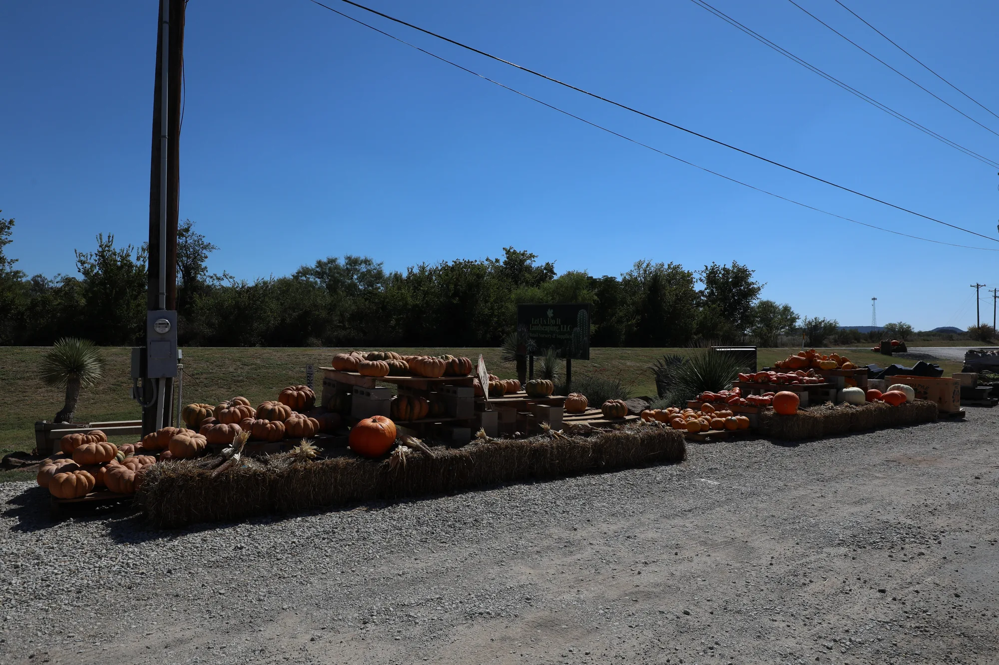 The autumn pumpkin display on hay bales at the roadside, with the Let Us Do It Landscaping nursery sign behind