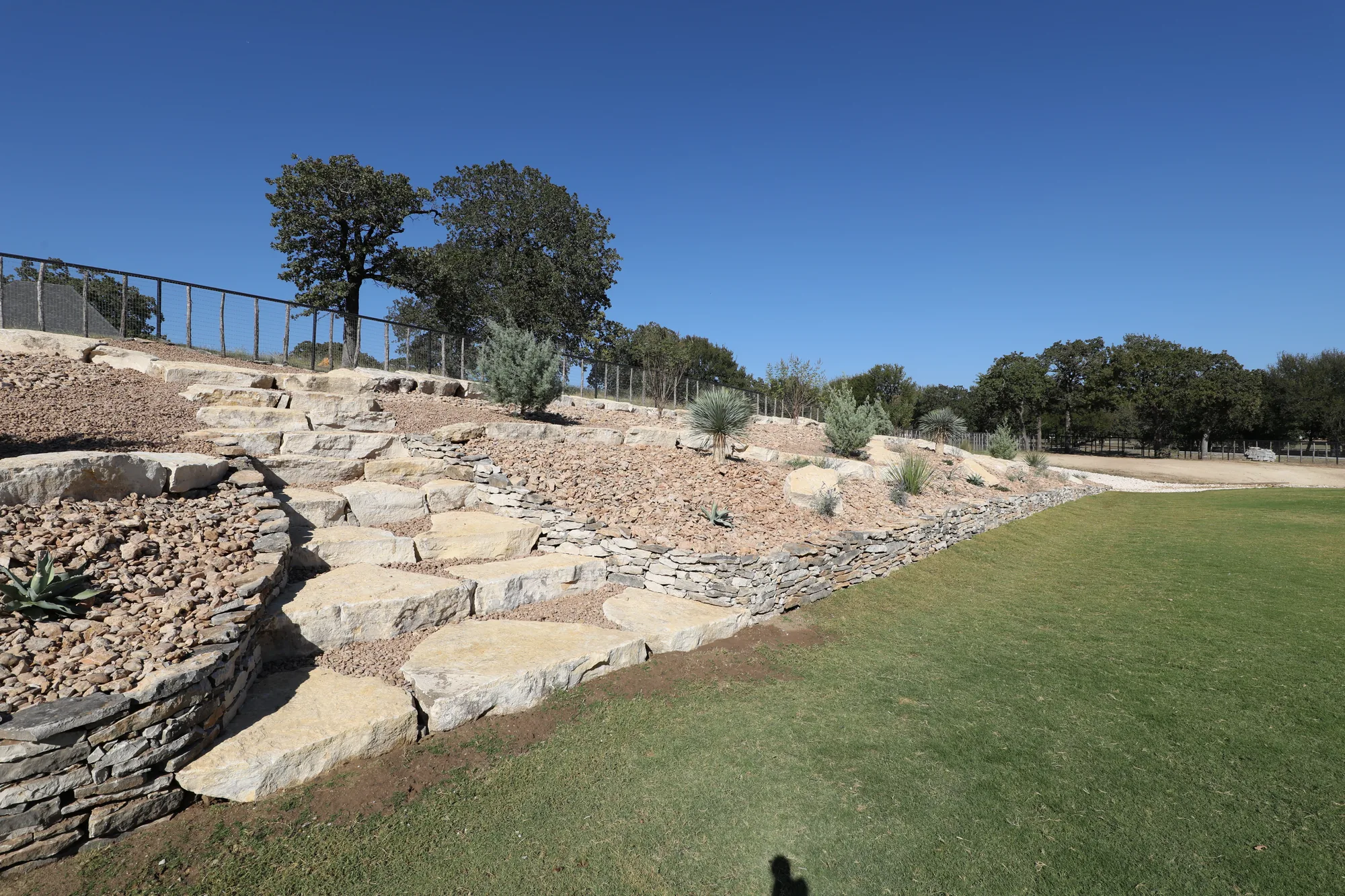A stone terrace wall running the edge of a lawn under mature live oaks