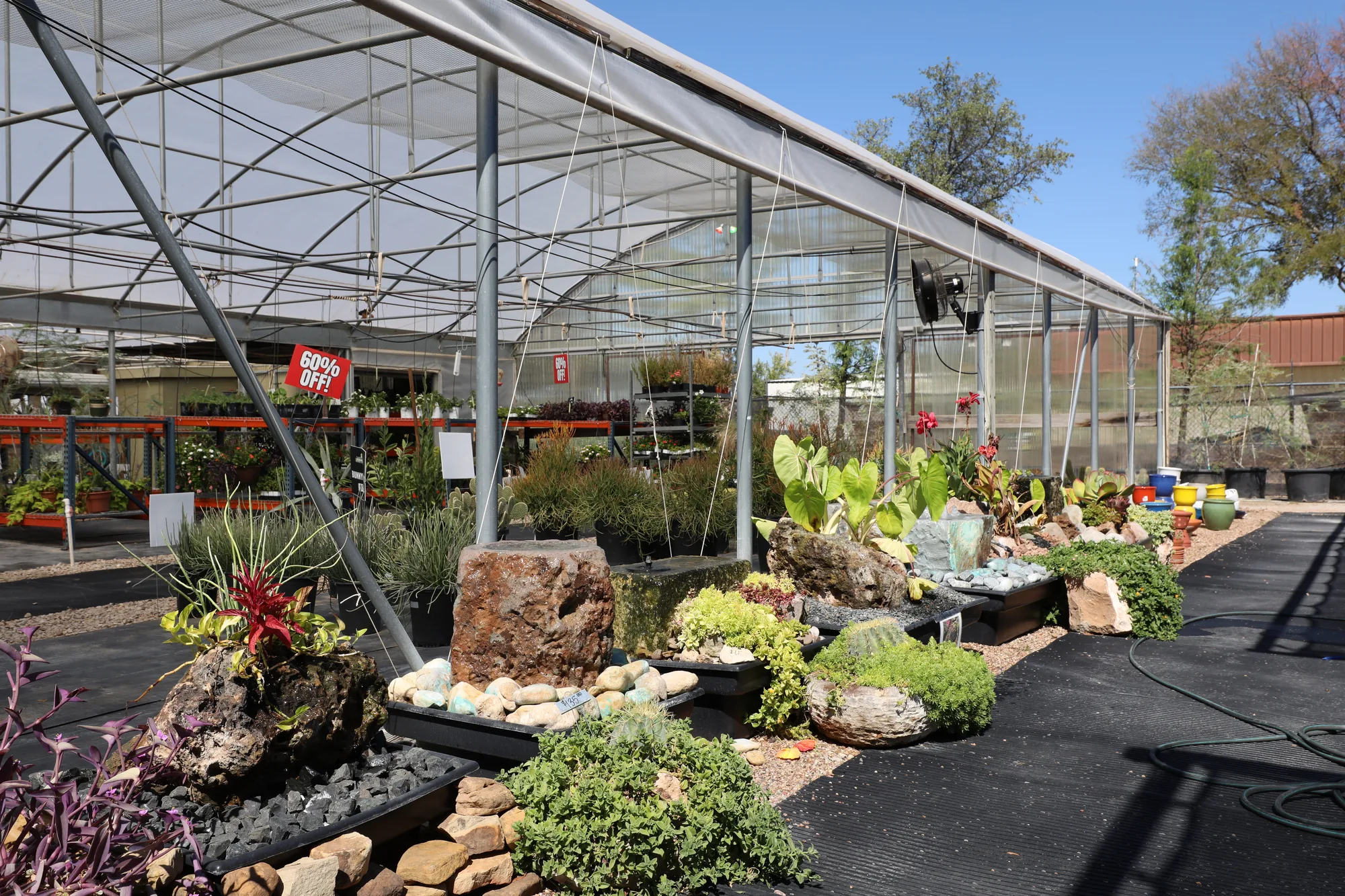 A planted display bed of succulents and cactus set among native boulders at the nursery