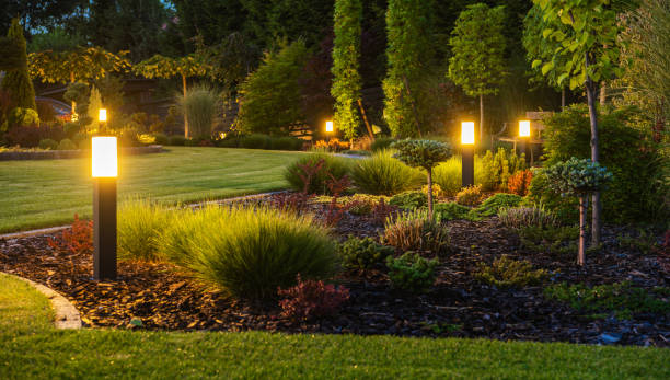 Landscaped garden at night with illuminated path lights and lush plants.