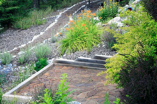 Looking down on many ideas for a simple maintenance free xeriscaped and water conservation garden.