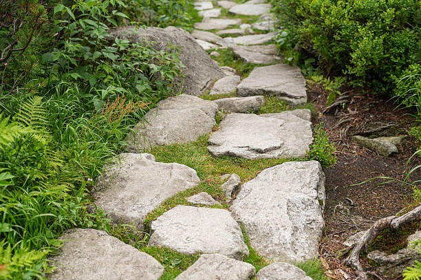 image_1 (22)