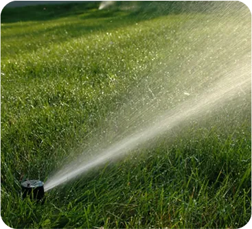 Sprinkler watering lush green grass, illustrating irrigation solutions for effective landscaping.